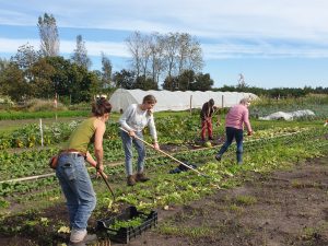 Wilde moestuincursus | Crash course