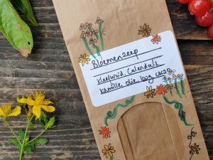 Seasonal foraging walk | Make your own herbal skincare | English spoken