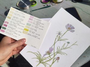 Workshop | Foraging walk, making plant ink and botanic drawing