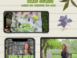 Foraging academy
