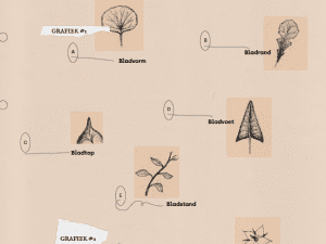 Wildpluk download | Platen determinatie hulp