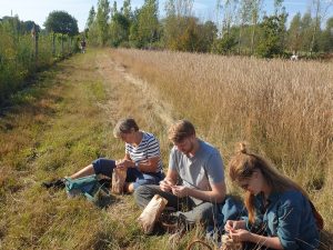 Seizoenswildplukwandeling | Wilde noten, granen en zaden