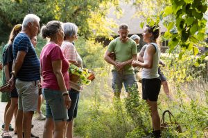 WildplukfermenterenworkshopRoosvanKroos-29