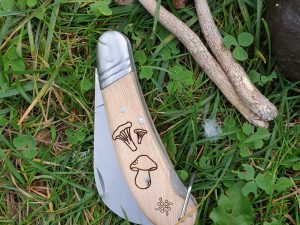 Paddenstoelen mesje