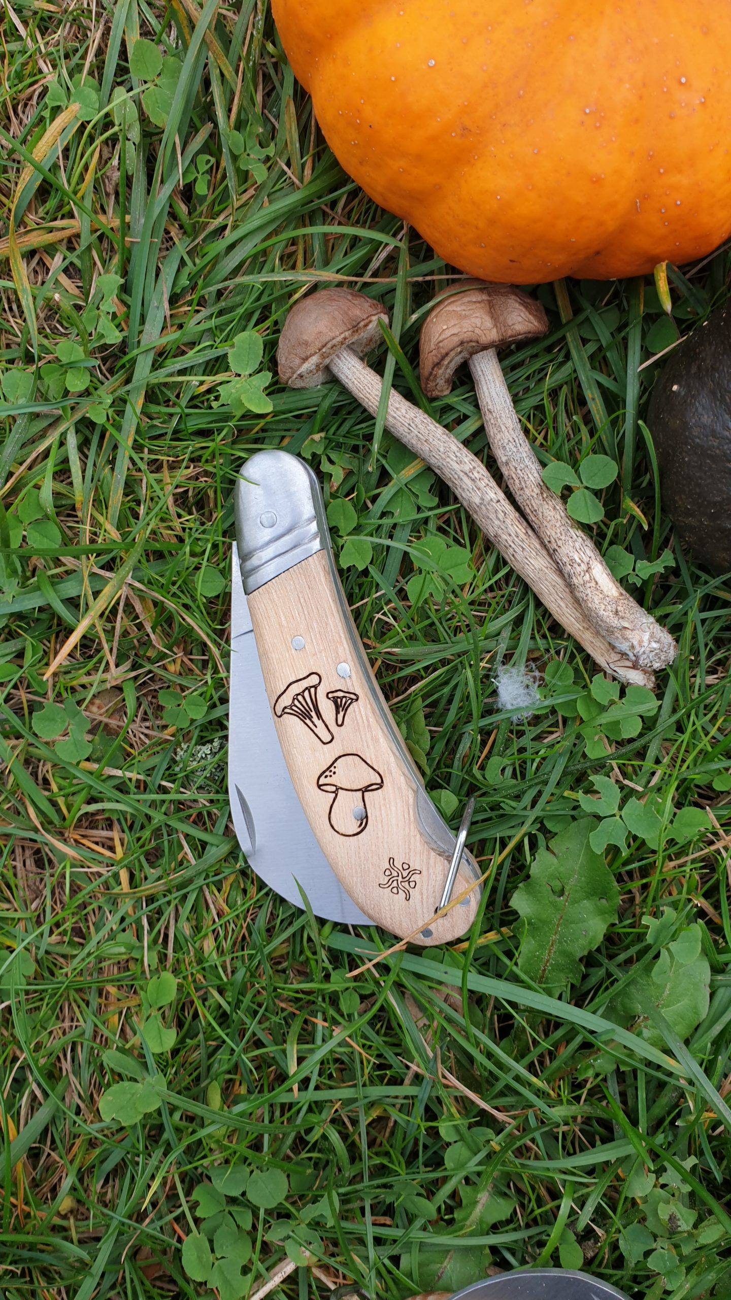 Mushroom knife foraging