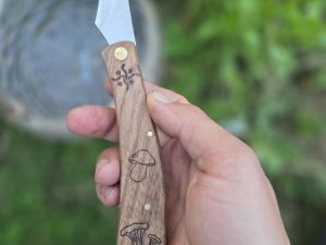 Mushroom knife foraging