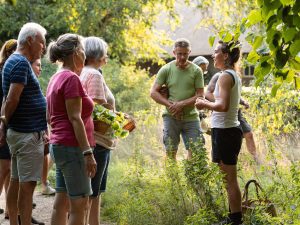 Privé Wildplukwandeling in Voedselbos
