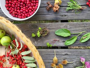 Wildgeplukt Zuid Zweden reis