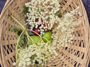 Seasonal foraging walk | Maastricht
