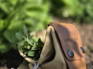 Wildpluk buidel voor aan je riem + gratis zakje wildplukthee | Voor bessen, bloemen en noten