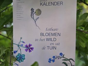 Foraging Calendar 2027 | Edible Wild Flowers