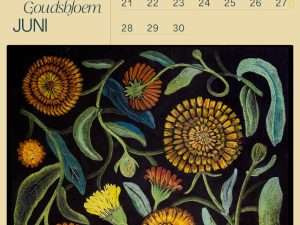 Foraging Calendar 2027 | Edible Wild Flowers