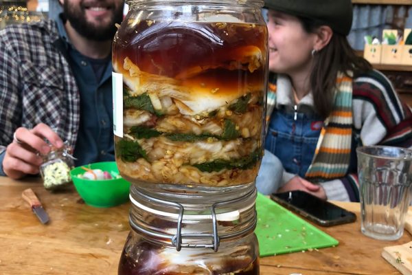 IMG-20221210-WA0011 (3)