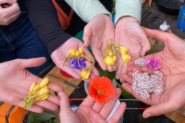 IMG-20240706-WA0015 (1)