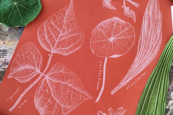 IMG_20240724_163725-scaled (1)