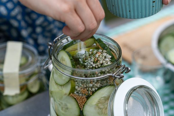 WildplukfermenterenworkshopRoosvanKroos-82